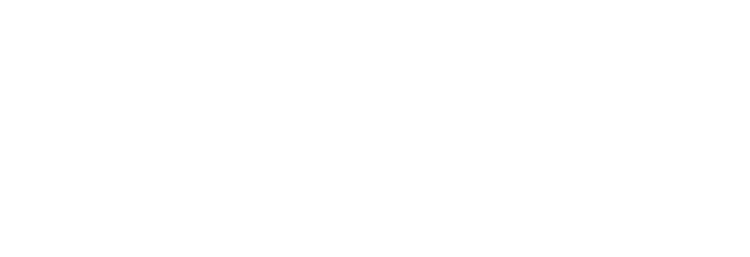 Logotipo de Bariatric Revolution