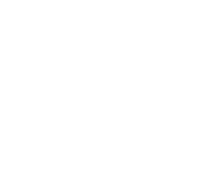 Logotipo de Little Smiles