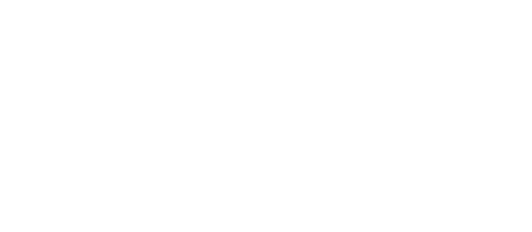 Logotipo de Vidental