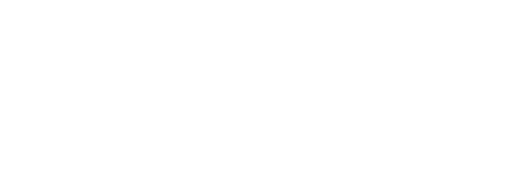 Logotipo de MIM