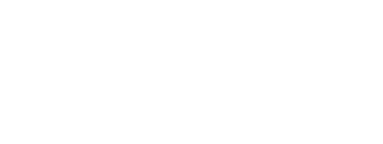 Logotipo de DiagnoScan
