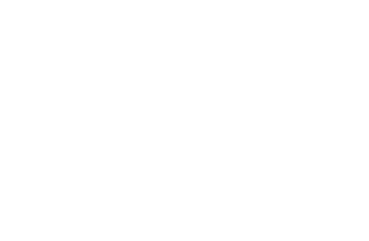 DIMUDET