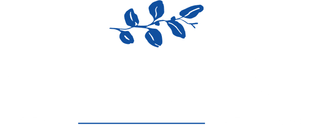 Estudio Añil